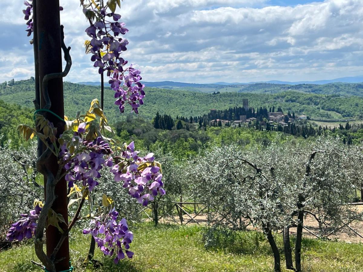 Il Fiorino Di Badia Badia A Passigano Exterior foto