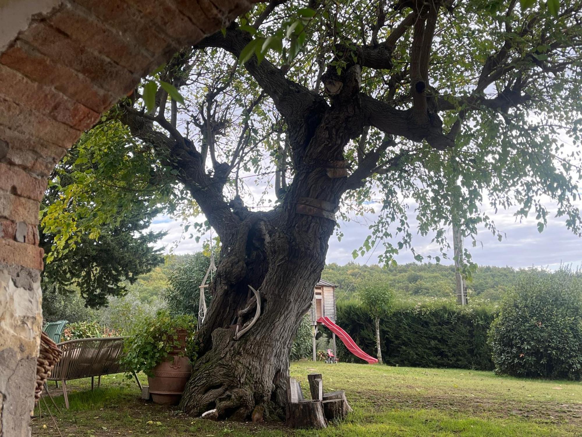 Il Fiorino Di Badia Badia A Passigano Exterior foto